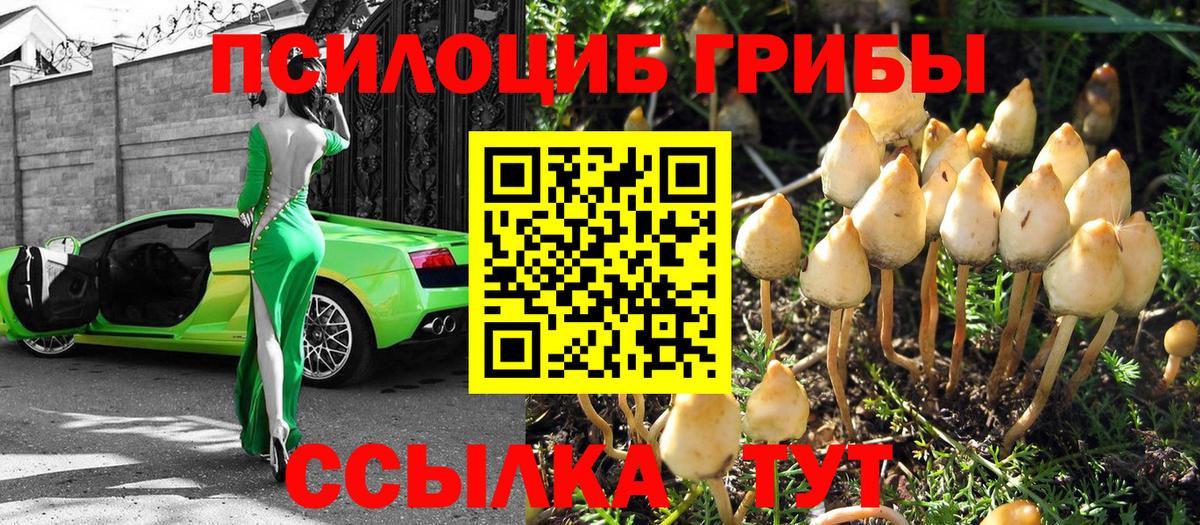 Галлюциногенные грибы мицелий Приморско-Ахтарск
