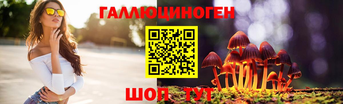 хочу   Галлюциногенные грибы Cubensis  Вход с VPN  Приморско-Ахтарск 